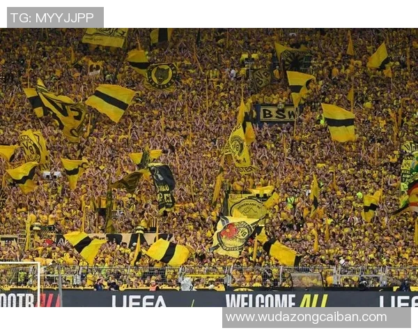 多特蒙德球迷骚乱事件引发欧冠禁赛三场及高额罚款