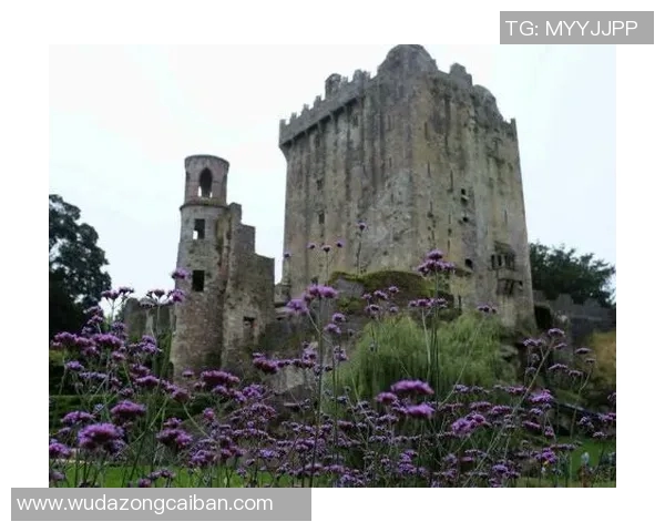 尔肯堡与哥德堡的精彩对决分析及赛季表现评估 尔肯堡与哥德堡的精彩对决分析及赛季表现评估