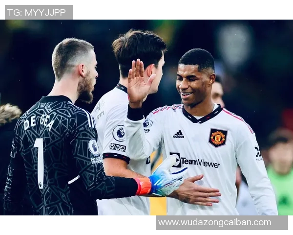 拉什福德：从青训新星到英超巨星的奋斗历程与荣耀时刻